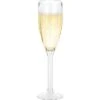 Berger Plastic Champagne Glasses Set Of 2 1 Berger Plastic Champagne Glasses Set Of 2 -Fritz Berger 386017 2837768