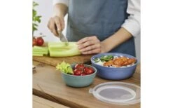 Rotho Bowl With Lid Tresa 0.35 Liters Blue -Fritz Berger 443918 3180293 2