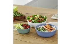 Rotho Tresa Bowl With Lid 0.35 Liters Green Blue 14 Rotho Tresa Bowl With Lid 0.35 Liters Green Blue -Fritz Berger 445073 3180299