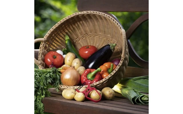 Westmark Asparagus And Vegetable Peeler U Type 4 Westmark Asparagus And Vegetable Peeler U Type - Image 2