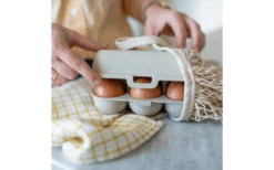 Koziol Egg Box Eggs To Go Mini 6pcs Leaf Green