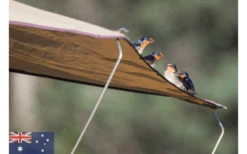 Gordigear Roof Tent 165 Plus For 3 People With Awning 165 X 320 Cm Gray 15 Gordigear Roof Tent 165 Plus For 3 People With Awning 165 X 320 Cm Gray -Fritz Berger 585663 3986115