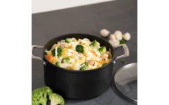 Cerafit Plasma Pot Set 2 Pieces 24 Cm -Fritz Berger 586439 4000339