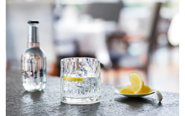 Berger Tumbler Drinking Gas Set Of 2 3 Berger Tumbler Drinking Gas Set Of 2