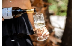 Berger Wine Glass Set Of 2 -Fritz Berger 594239 4331207