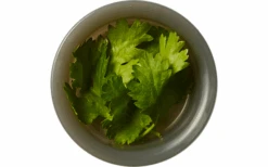 Black+Blum Black And Blum Original Lunchbox 1 Liter Ocean 11 Black+Blum Black And Blum Original Lunchbox 1 Liter Ocean -Fritz Berger 613667 4458439