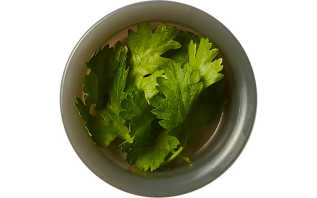 Black+Blum Black And Blum Original Lunchbox 1 Liter Ocean 5 Black+Blum Black And Blum Original Lunchbox 1 Liter Ocean - Image 3