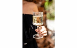 Berger Wine Glass Set Of 2 -Fritz Berger 690069 4697631