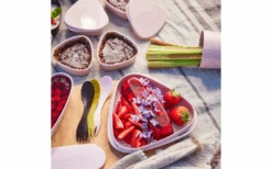 Light My Fire Bowl'n Lid Organic Lunch Box Dustypink -Fritz Berger 704555 4760291