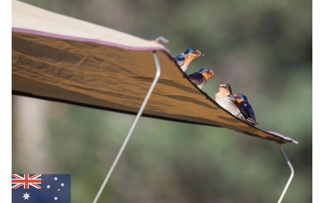 Gordigear Roof Tent 140 Plus For 2 People With Awning 140 X 320 Cm Gray 9 Gordigear Roof Tent 140 Plus For 2 People With Awning 140 X 320 Cm Gray - Image 7